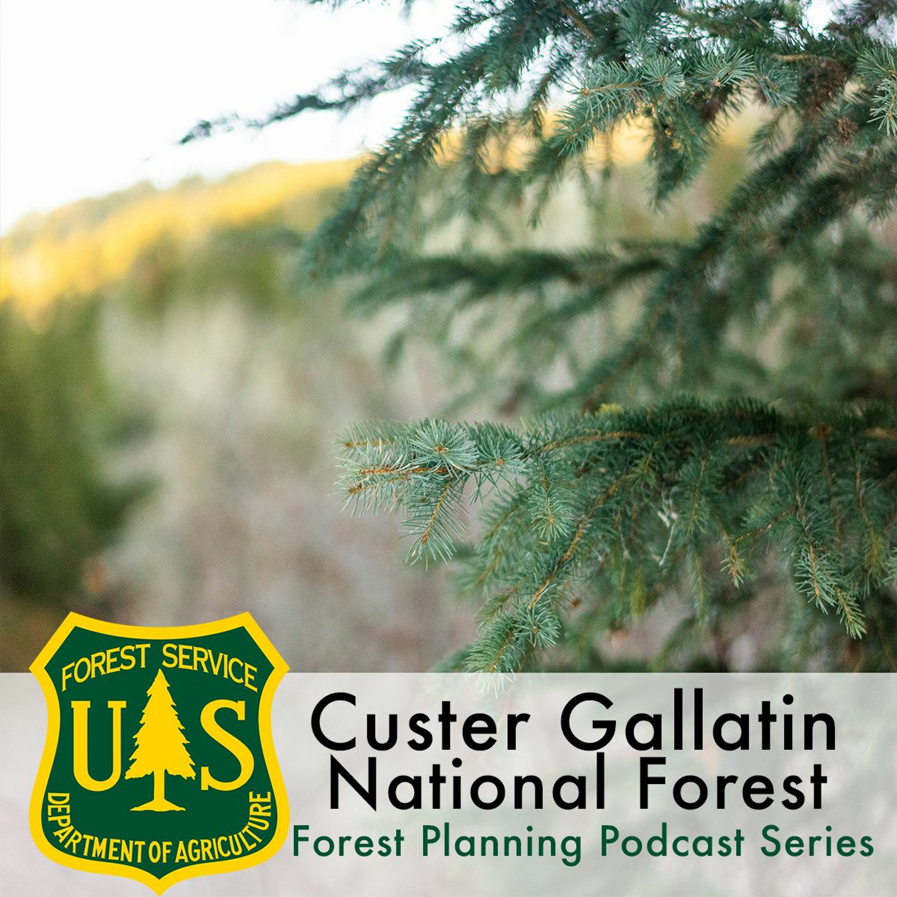 Forest Service Planning Podcast