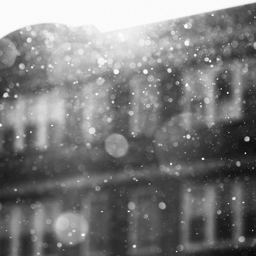 Snowing (Naviarhaiku 270)