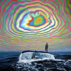 Liquid Stranger - Laguna