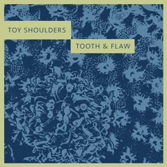 Toy Shoulders - Tooth & Flaw