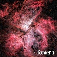 Reverb 10