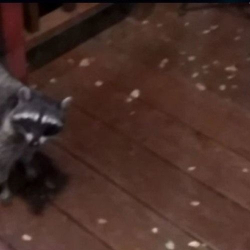 Smoke It Slow (feat. zmatic)