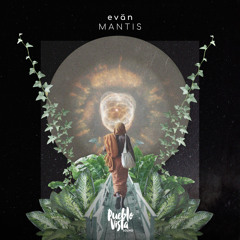 evän - foggy