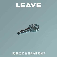 Borgeous & Jordyn Jones - Leave (MahabraSeyer Remix)
