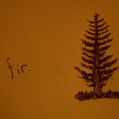 Fir (Part 1)