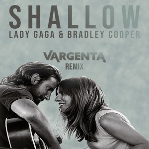 Lady Gaga Tracks Remixes Overview
