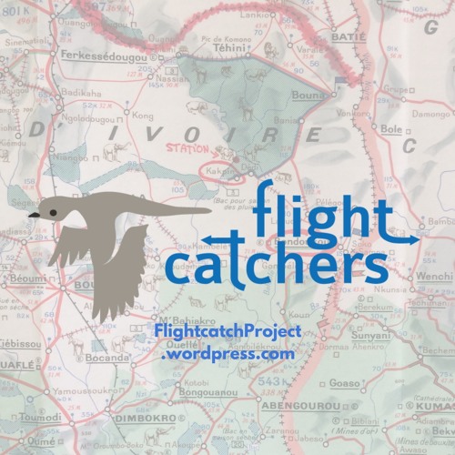 flightcatchers