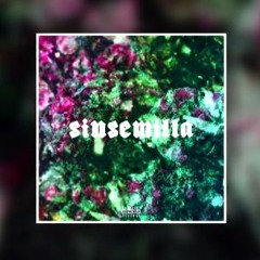 Sinsemilla (feat. Скриптонит, Вандер Фил, Rigos)