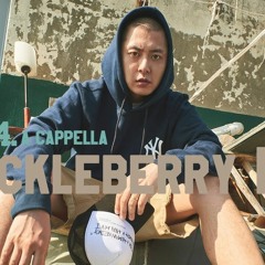 Huckleberry P MIC SWAGGER BPM