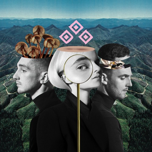 Clean Bandit - Should've Known Better (feat. Anne-Marie) [Codebar Remix]