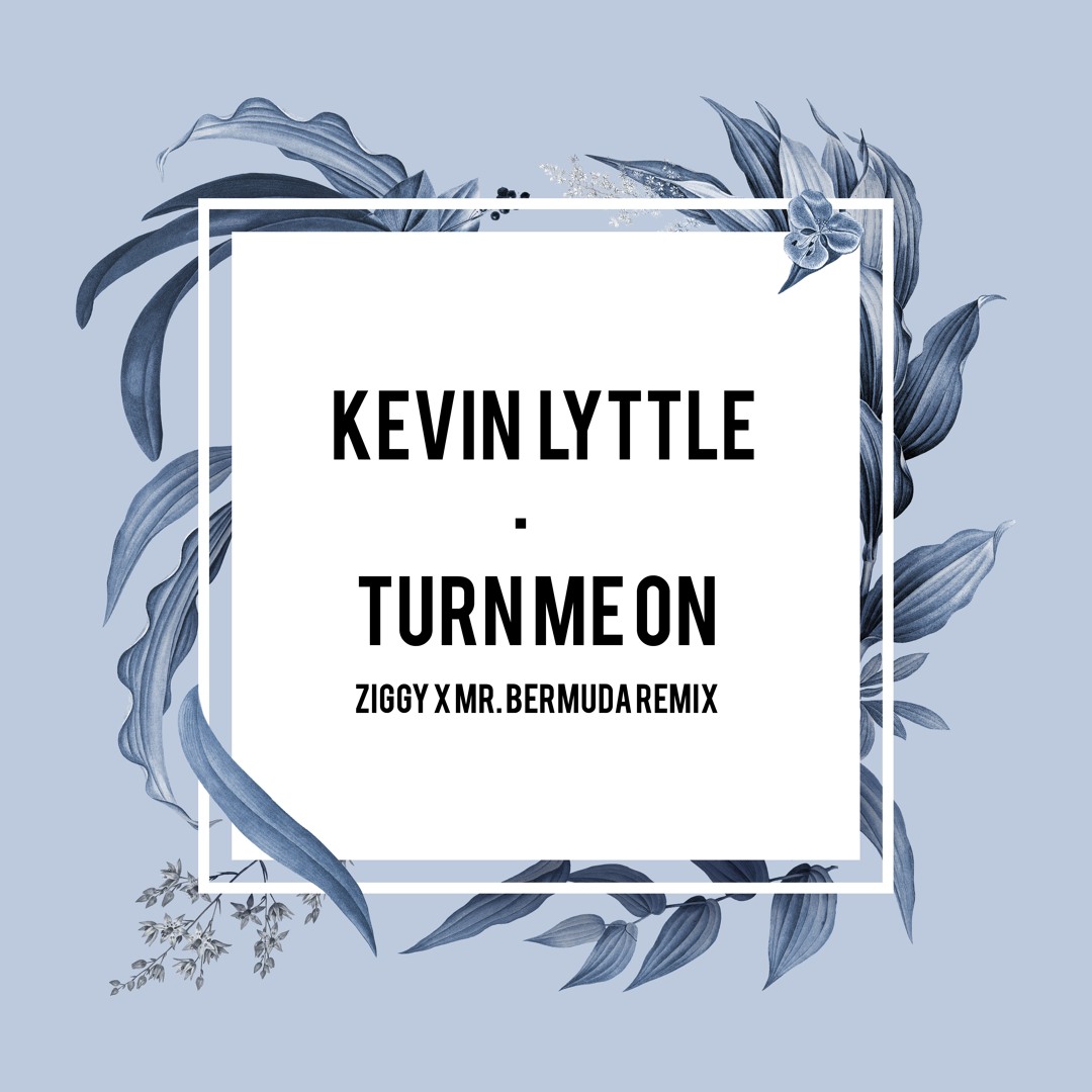 Stream Turn Me On (ZIGGY & Mr Bermuda Remix) by ZIGGY
