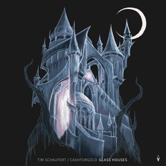 Tim Schaufert & CASHFORGOLD - Let You In