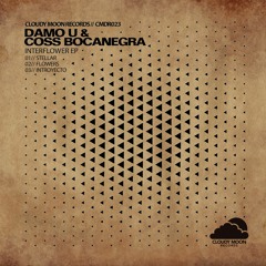 CMDR023 Damo U - Introyecto [Cloudy Moon Records]