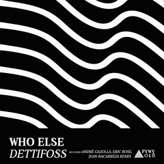 PYWV0018 | Who Else - Dettifoss [EP] OUT NOW