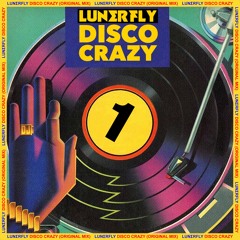 Lunerfly - Disco Crazy (Original Mix)#1 PREVIEW