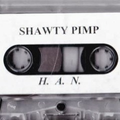 Shawty Pimp — Having Thangs