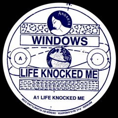 Life Knocked Me [ANTA002]