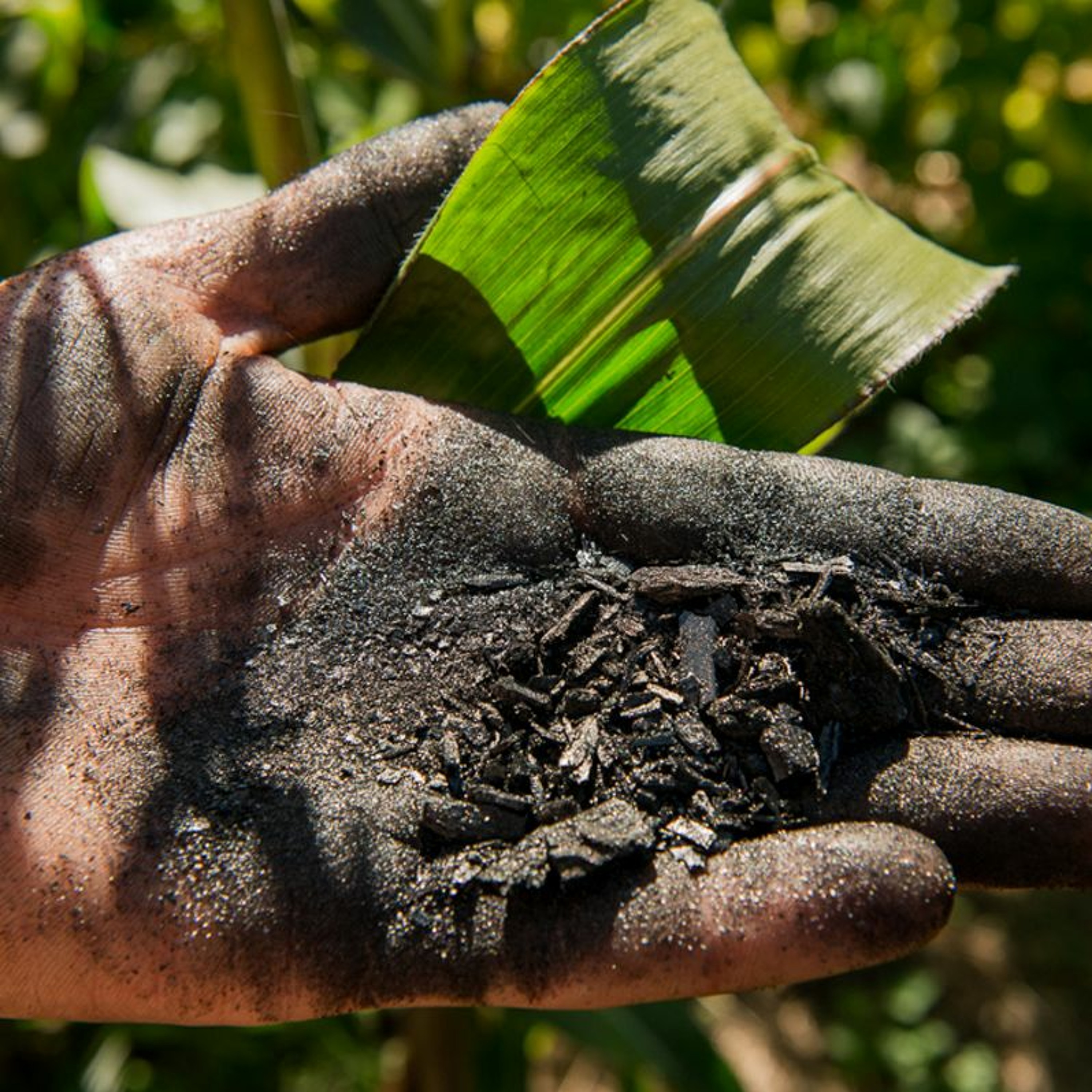 2.6 Biochar & Why Green Tech Adoption is a Mess Sometimes feat. Mike McGolden part 2 episode artwork
