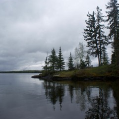 Don't Read Your Mind