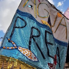 ORANGOTANGO SEREIA - Bloco do Agua Preta 2019