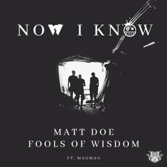 Matt Doe & Fools Of Wisdom - Now I Know (Feat. MagMag)
