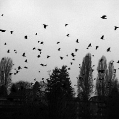 Watching Crows/Looking Out The Window (Prod. NK Music)