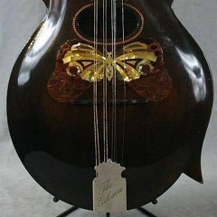 O'Carolan's Concerto