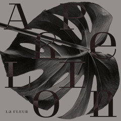 Premiere: La Fleur 'Aphelion'