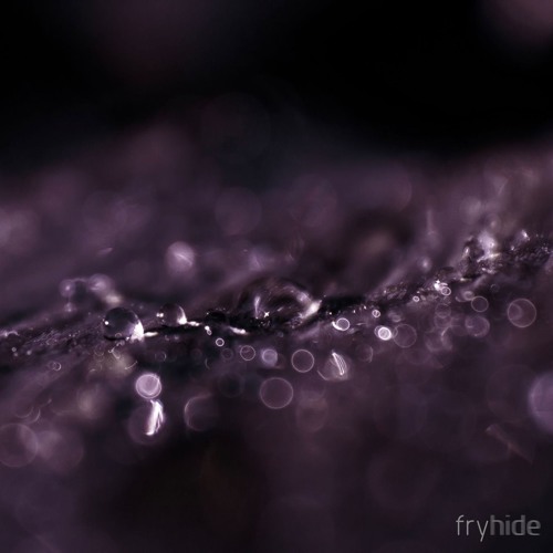 Tone Depth - Obsidian Wire