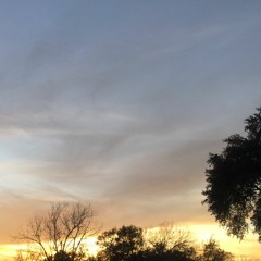 i know i say it a lot, im sorry (ft. kenny) (prod. riddiman x sprawling)