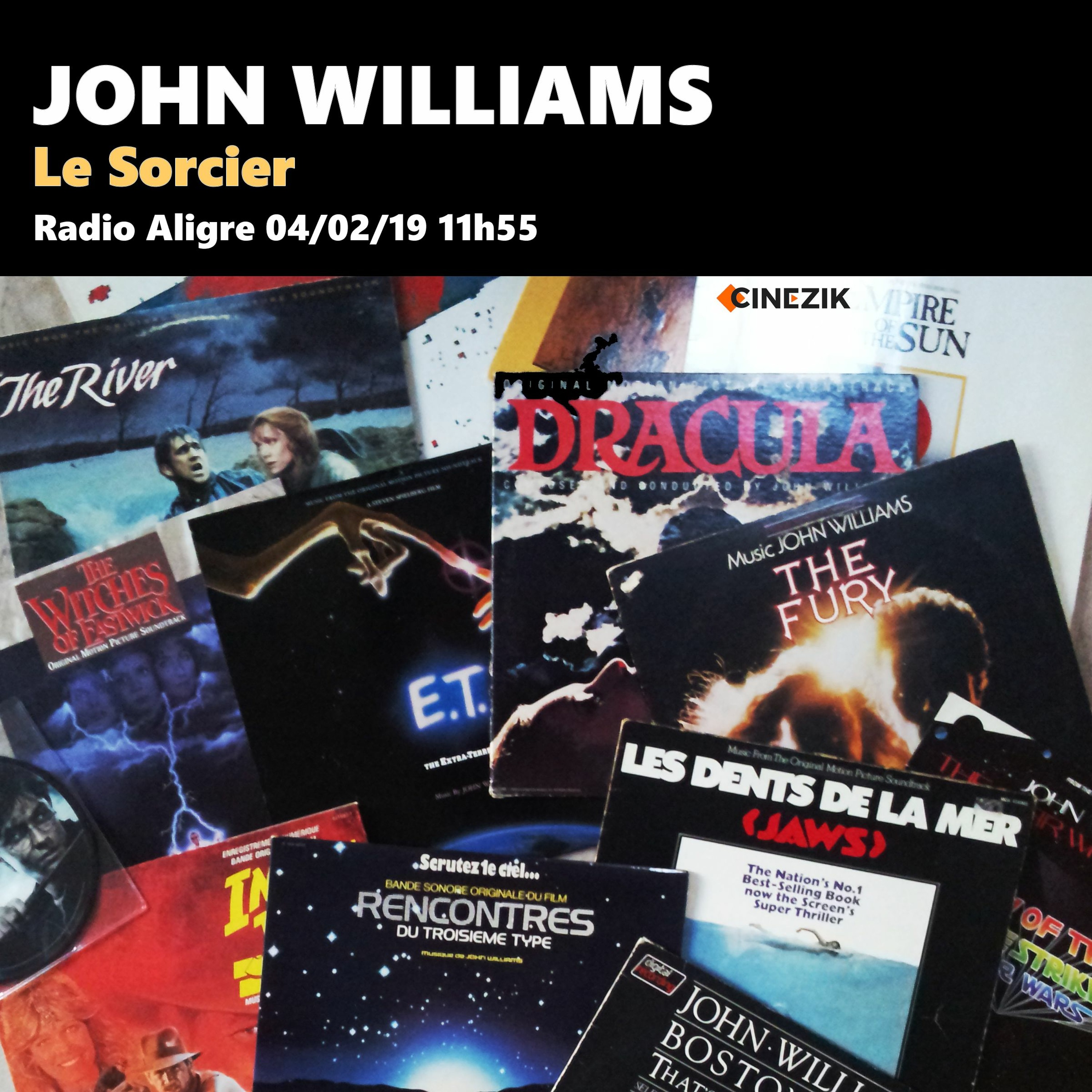 John Williams, Le Sorcier