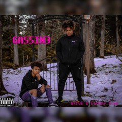 GASSIN3