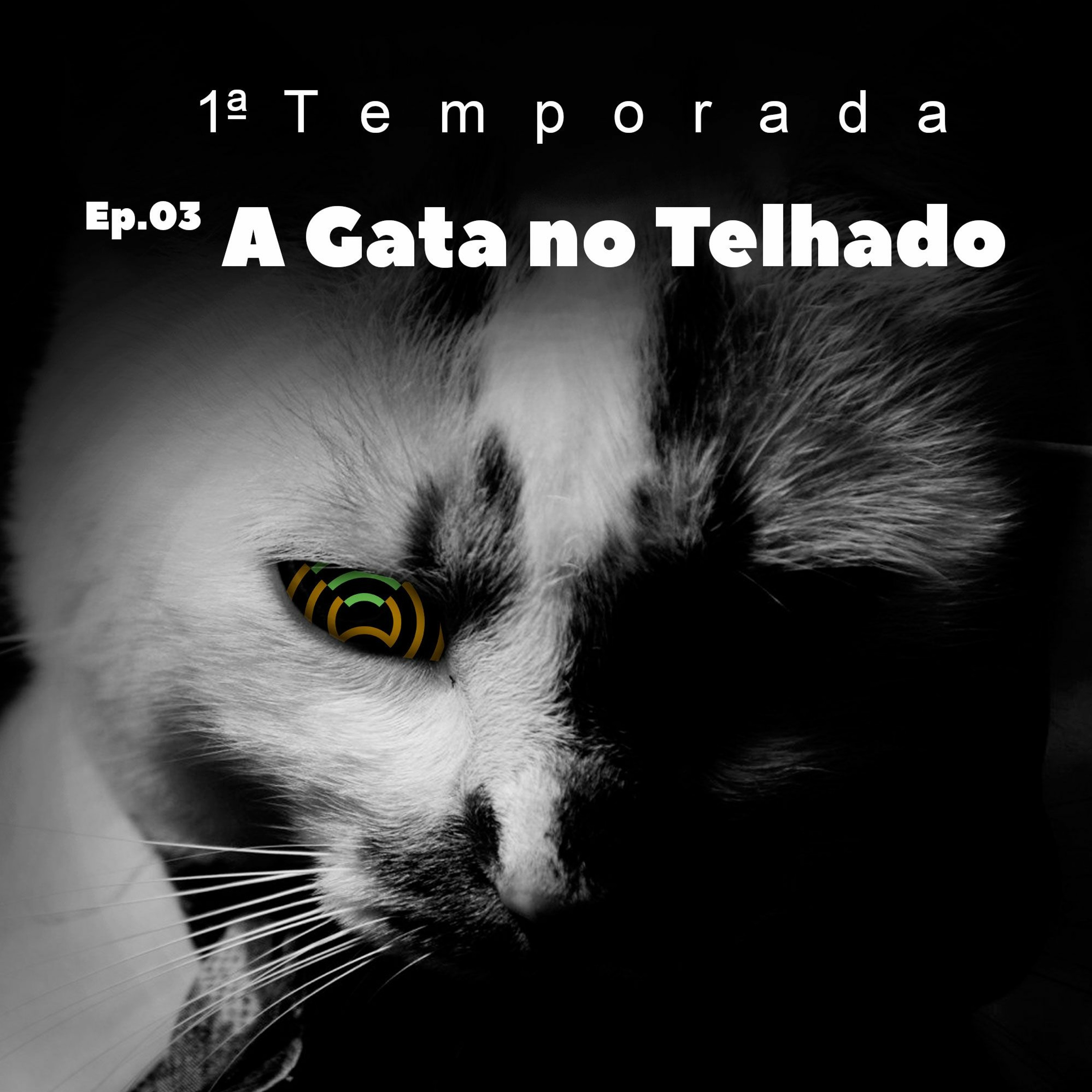 T1 - Ep.3 - A Gata no Telhado episode artwork