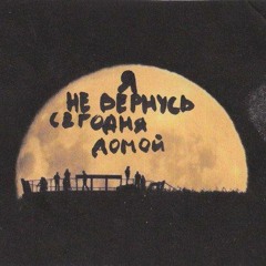 црвених цветова - поезд, везущий ночь