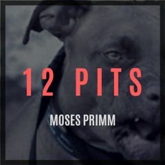 12 PITS [INSTRUMENTAL] [PRIMM BEATS]