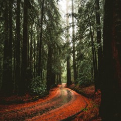 8 (bon Iver sample) trippie redd type beat