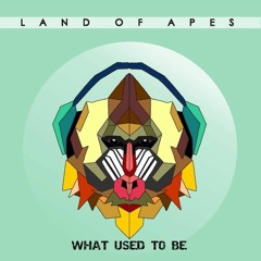 What Used To Be
