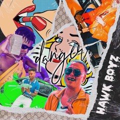 DANGER - HAWK BOYZ
