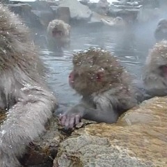 Hot Springs (prod. Moses)