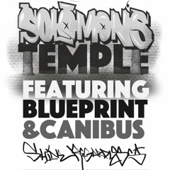 Shine Regardless (feat. Blueprint & Canibus)