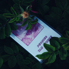 Peonies - Quiet / Тише