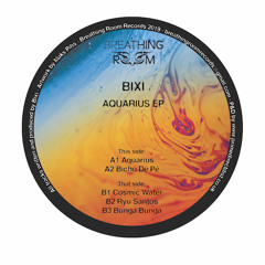 DC Promo Tracks #353: Bixi "Bunga Bunga"