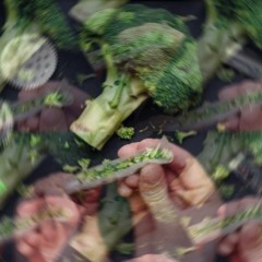 Brokuł