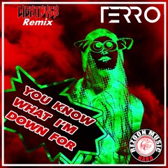 Terro - You Know What I'm Down For (LIGHTNYSK Remix)