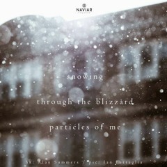 Snowing - Particles Of Me (Naviarhaiku 270)