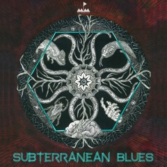 Post-Modern Music - V.A - Subterranean Blues
