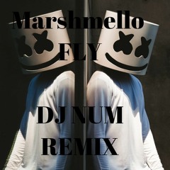Marshmello - Fly (GYSRFA REMIX)
