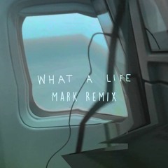 Scarlet Pleasure - What A Life (Mark Remix)