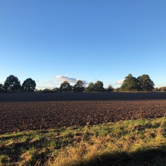 A field in England (Excerpt from Part 1)
