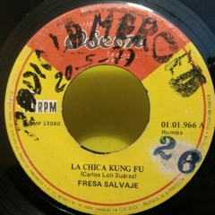 FRESA SALVAJE - LA CHICA KUNG FU